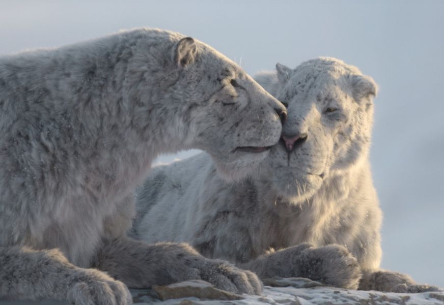 Prehistoric Planet Ice Age featured